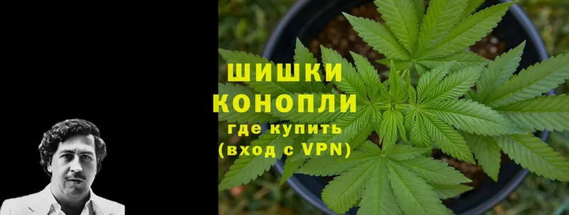 Бошки Шишки Bruce Banner  купить наркотик  Вышний Волочёк 